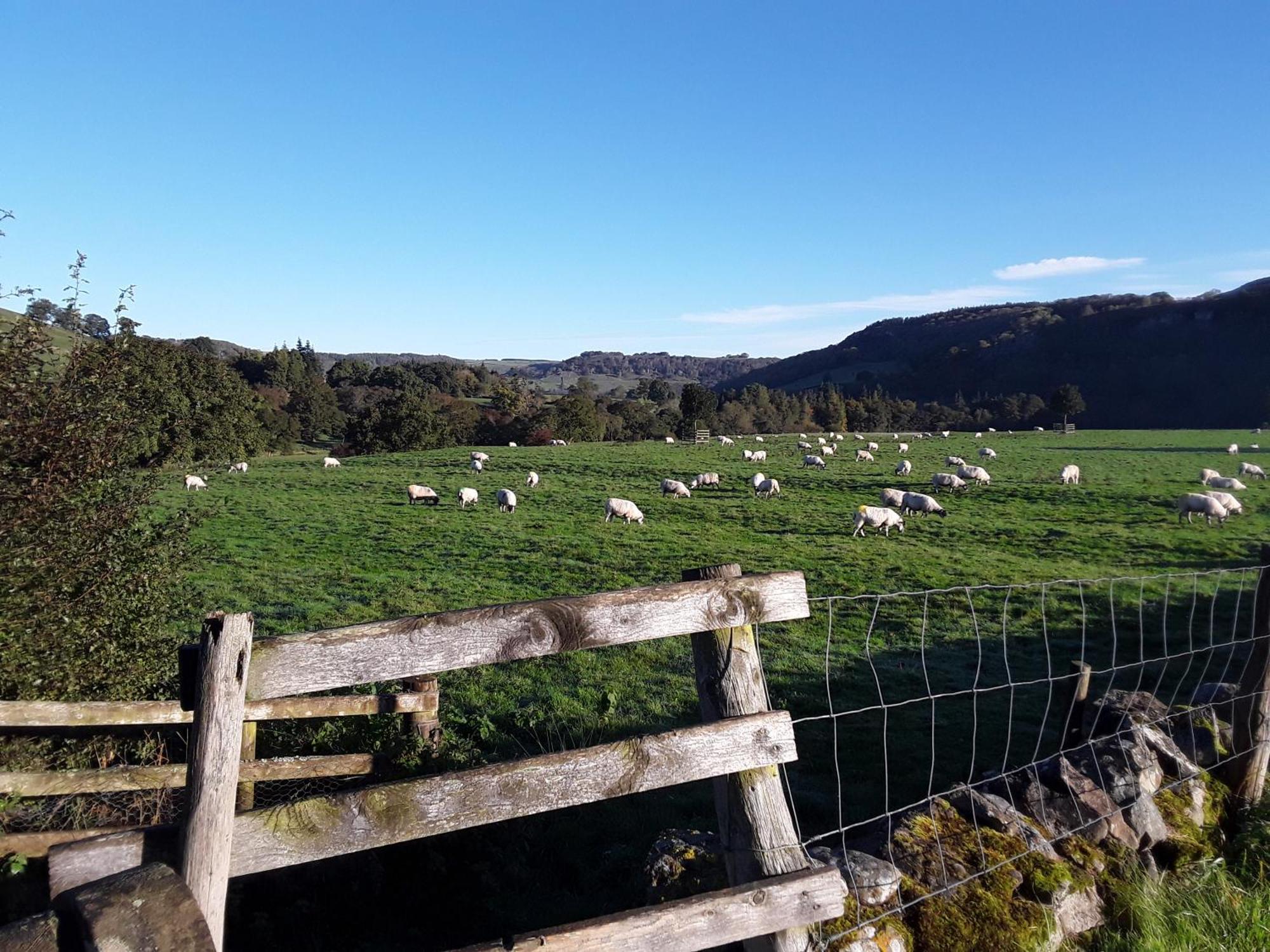 Bed & Breakfast Ellerton Swaledale *
