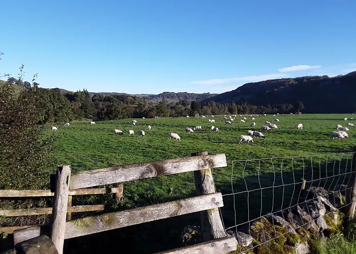Ellerton Lodge Bed And Breakfast Swaledale